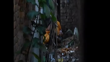 Desi Golden Shower