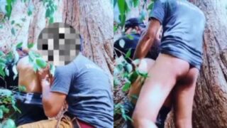 Beneath The Boughs: A Couple’s Passionate Encounter In Nature